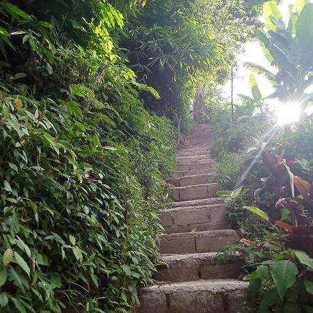 Jungleadventure Cabin Camping Bedugul  Zewnętrze zdjęcie