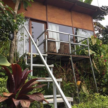 Jungleadventure Cabin Camping Bedugul  Zewnętrze zdjęcie