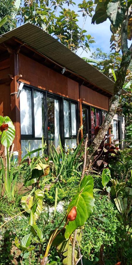 Jungleadventure Cabin Camping Bedugul  Zewnętrze zdjęcie